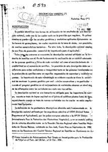 Descripción varietal Alliance Bioversity International CIAT