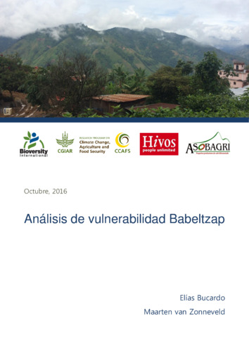 Análisis de vulnerabilidad Babeltzap