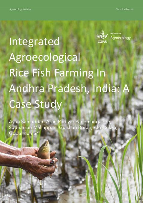 Rice Fish Farming in the Rice Bowl of India Andhra Pradesh