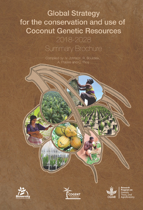 Global Strategy for the Conservation and Use of Coconut Genetic Resources 2018 -2028: summary brochure