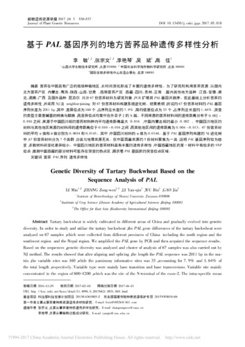 Genetic diversity of tartary buckwheat based on the sequence analysis of PAL