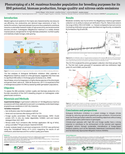 Phenotyping of a M. maximus founder population for breeding purposes for its BNI potential, biomass production, forage quality and nitrous oxide emissions