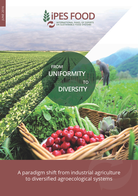 From uniformity to diversity: a paradigm shift from industrial agriculture to diversified agroecological systems