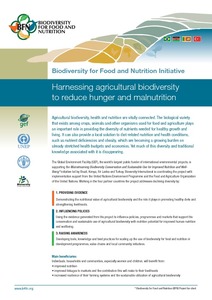 Biodiversity for Food and Nutrition Initiative: Harnessing agricultural biodiversity to reduce hunger and malnutrition
