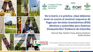 De la teoría a la práctica: ¿Qué debemos tener en cuenta al construir esquemas de Pagos por Servicios Ecosistémicos (PSA) efectivos y sostenibles para Sistemas Silvopastoriles? Evidencia de Colombia.