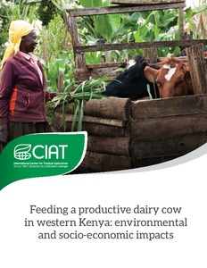Feeding a productive dairy cow in western Kenya: environmental and socioeconomic impacts