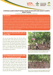 Stepwise Climate-Smart Cocoa pilots in the cope and adjust climate impact zones