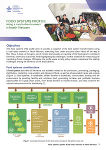 Food Systems Profile - Along a rural-urban transect in North Vietnam