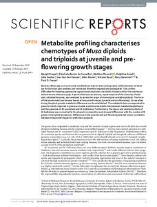 Metabolite profiling characterises chemotypes of Musa diploids and triploids at juvenile and pre-flowering growth stages