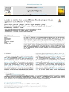 A model to examine farm household trade-offs and synergies with an application to smallholders in Vietnam