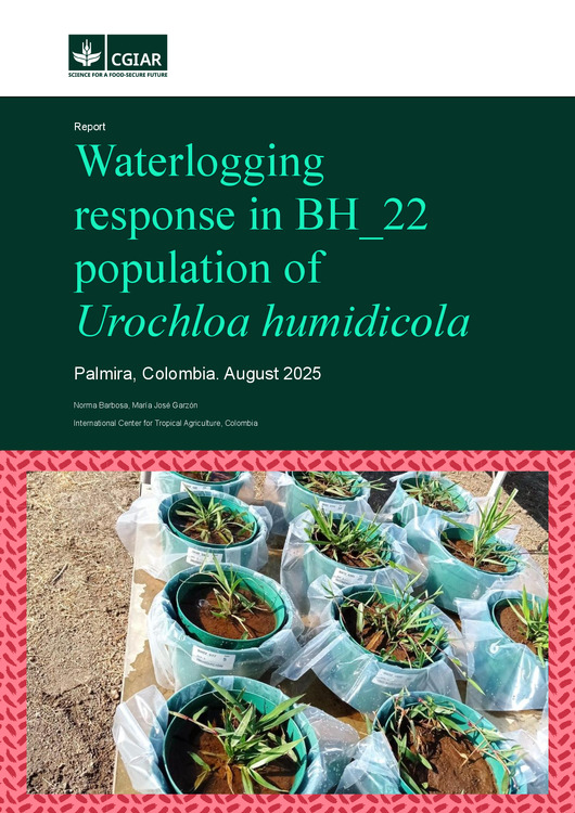 Waterlogging response in BH_22 population of Urochloa humidicola ...