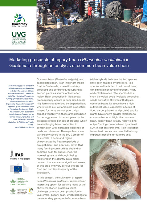 Marketing prospects of tepary bean (Phaseolus acutifolius) in Guatemala through an analysis of common bean value chain