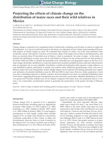 Projecting the effects of climate change on the distribution of maize races and their wild relatives in Mexico