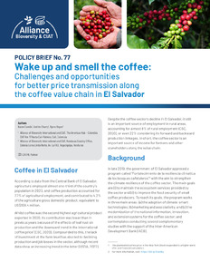 Wake up and smell the coffee: Challenges and opportunities for better price transmission along the coffee value chain of El Salvador