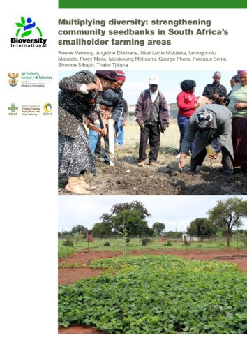 Multiplying diversity: strengthening community seedbanks in South Africa’s smallholder farming areas.