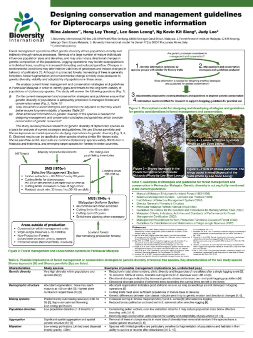 Designing conservation and management guidelines for Dipterocarps using genetic information