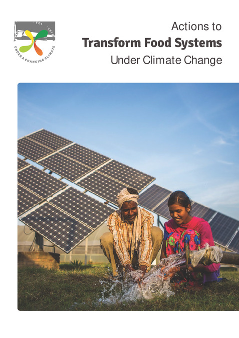 Actions to Transform Food Systems Under Climate Change