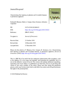 Characterizing fruit ripening in plantain and Cavendish bananas: A proteomics approach