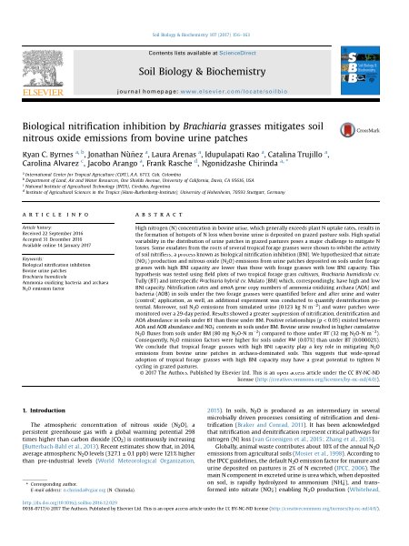 Biological nitrification inhibition by Brachiaria grasses mitigates soil nitrous oxide emissions from bovine urine patches