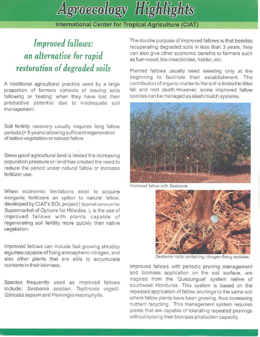 Improved fallows : an alternative for rapid restoration of degraded ...