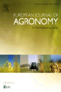 Assessing uncertainty and complexity in regional-scale crop model simulations