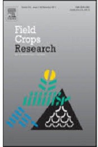 Crop model improvement reduces the uncertainty of the response totemperature of multi-model ensembles