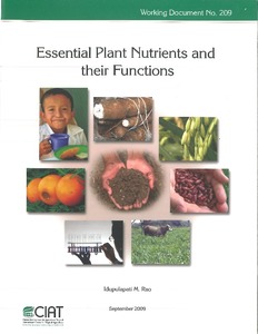 Essential plant nutrients and their functions | Alliance Bioversity ...