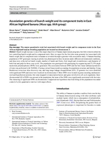Association genetics of bunch weight and its component traits in East African highland banana (Musa spp. AAA group)