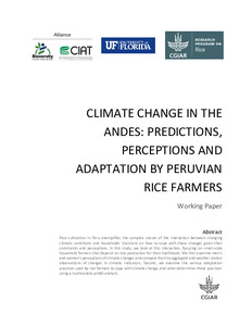 Climate change in the Andes: predictions, perceptions and adaptation by peruvian rice farmers