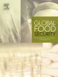 The benefits and trade-offs of agricultural diversity for food security in low- and middle-income countries: A review of existing knowledge and evidence