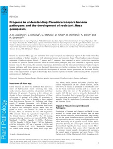 Progress in understanding Pseudocercospora banana pathogens and the development of resistantMusagermplasm