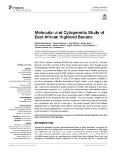 Molecular and Cytogenetic Study of East African Highland Banana