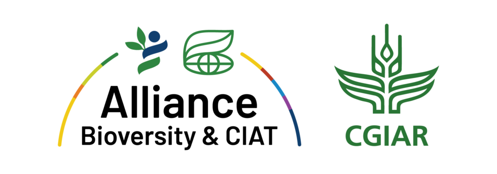 climate focus