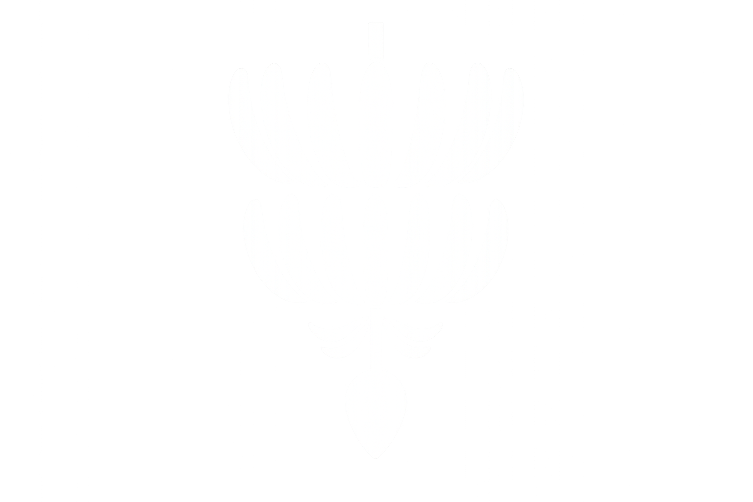 Bananas