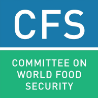 CFS logo