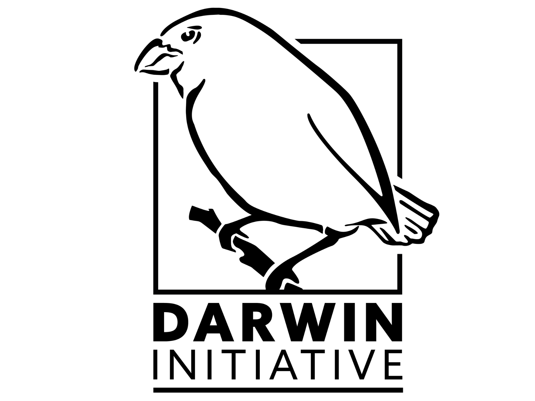 Darwin Initiative logo