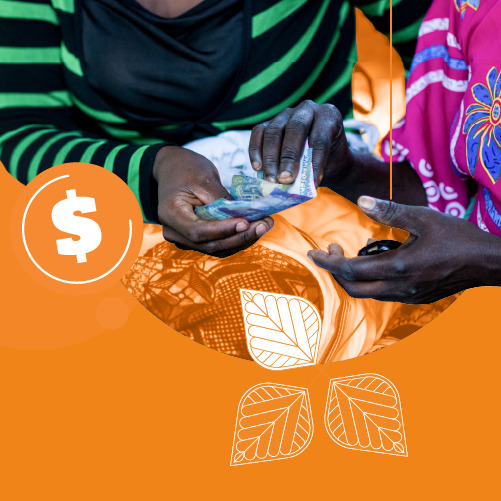 FLeveraged Financing and Investment for Impact - Strategy 2026 - 2030 - Alliance Bioversity International - CIAT