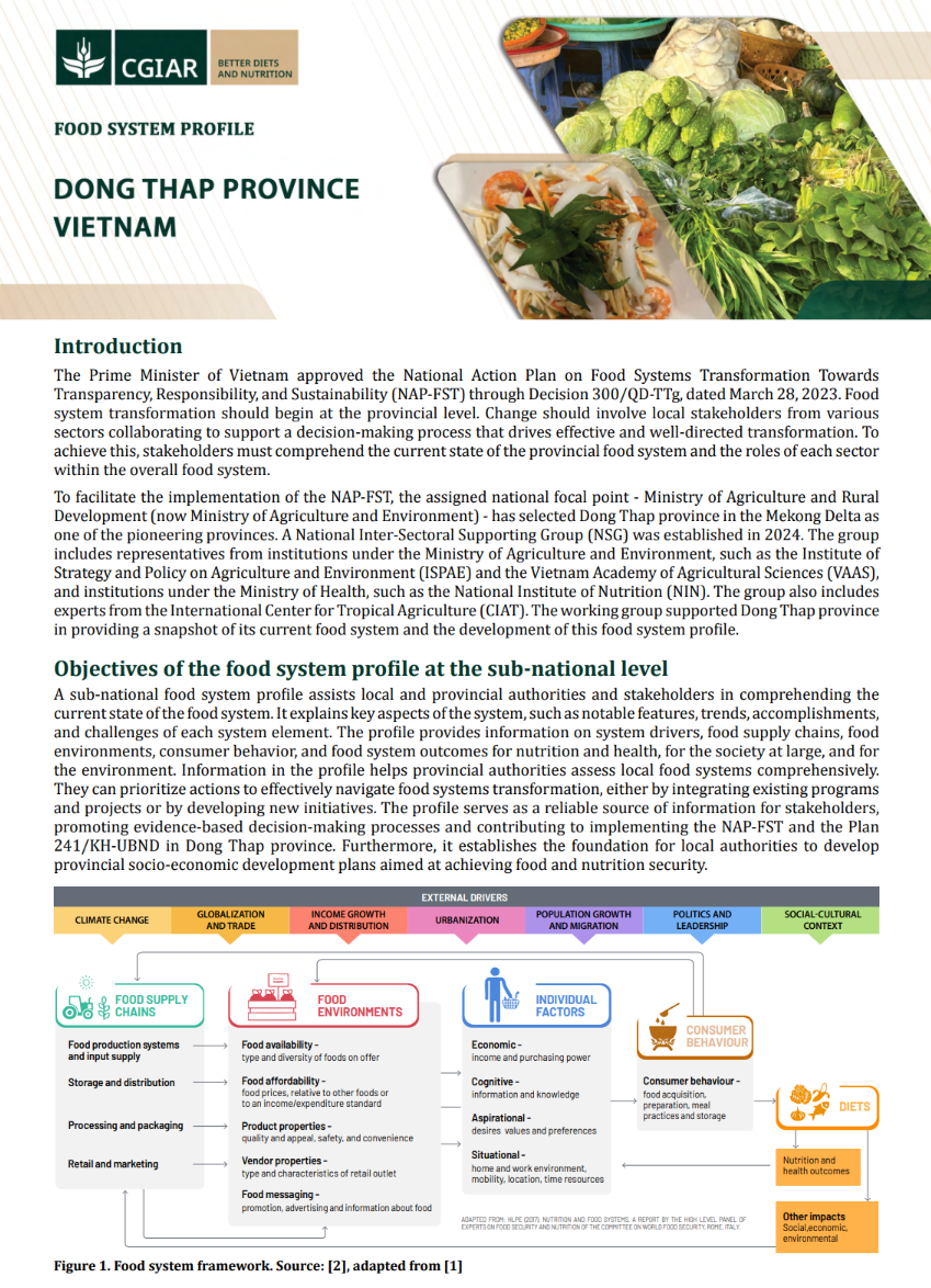Dong Thap Province Profile