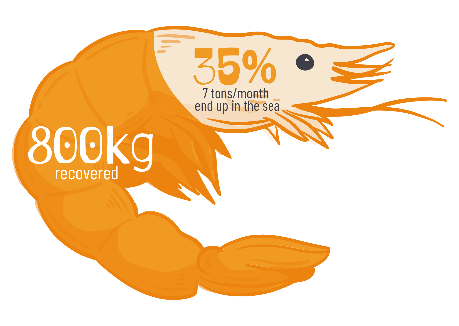 shrimp