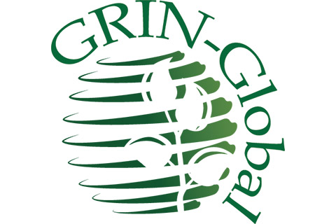 grin global