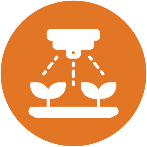 Advanced crop - Democratic Republic of the Congo - Alliance of Bioversity International and CIAT