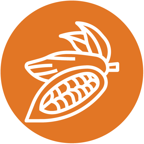 Agroforestry - Cameroon - Alliance Bioversity International - CIAT