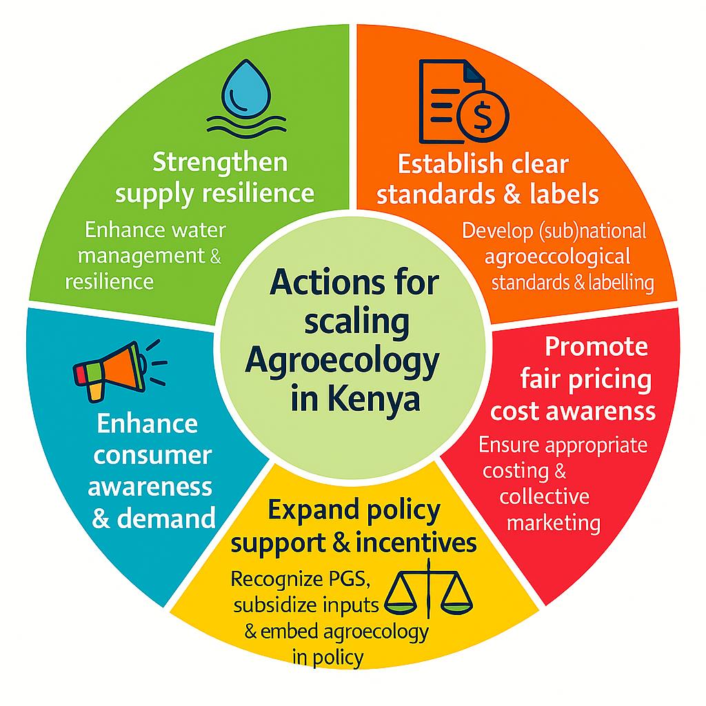 Beyond organic - How Kenya is reshaping food systems with participatory guarantee system and agroecology - Image 8