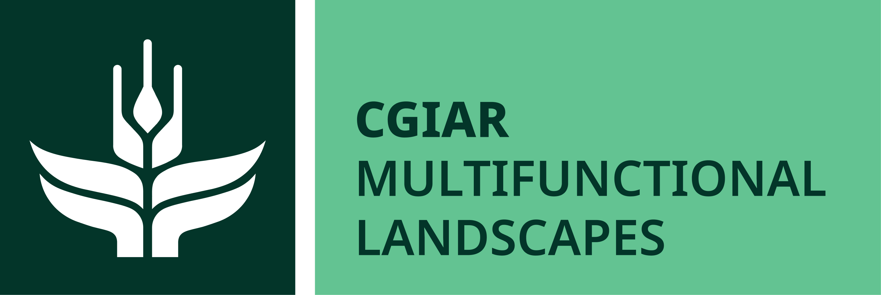 Biodiverse landscapes, biodiverse plates -  lessons from Ucayali and Colombia's new dietary guidelines - Image 3