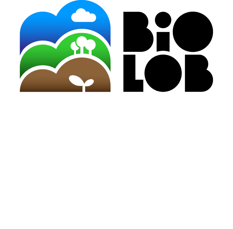 Restoring Miombo From forest recovery to resilient bioeconomy - Logo