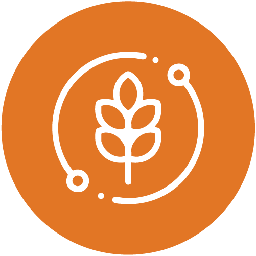 competitive agricultural value chains  