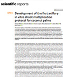 development-of-the-first-axillary-in-vitro-shoot-multiplication-protocol-for-coconut-palms