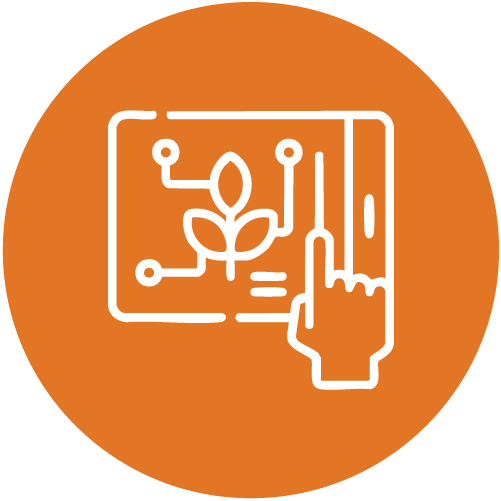 Digital transformation in agriculture - Uganda - Alliance Bioversity International - CIAT