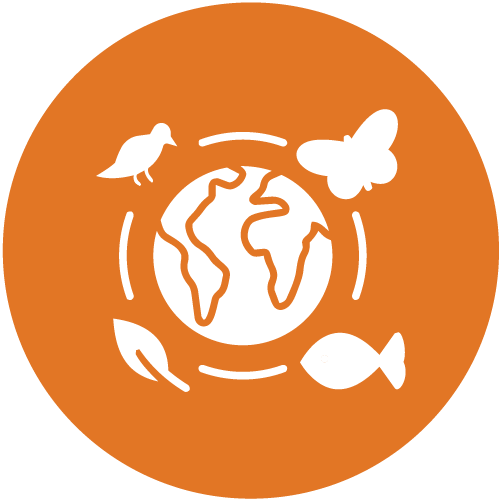 Ghana - Alliance Bioversity International - CIAT - Agrobiodiversity