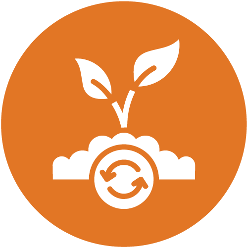 Ghana - Alliance Bioversity International -  CIAT - Improved soil health